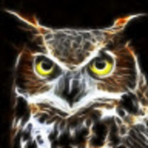 Meet your Posher, Paul